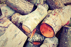 Eland Green wood burning boiler costs